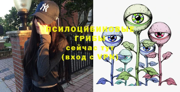 спайс Киреевск